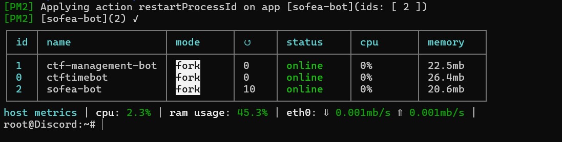 Sofea Discord security challenge bot screenshot, image 1 of 4