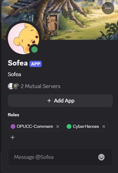 Sofea Discord security challenge bot screenshot, image 4 of 4